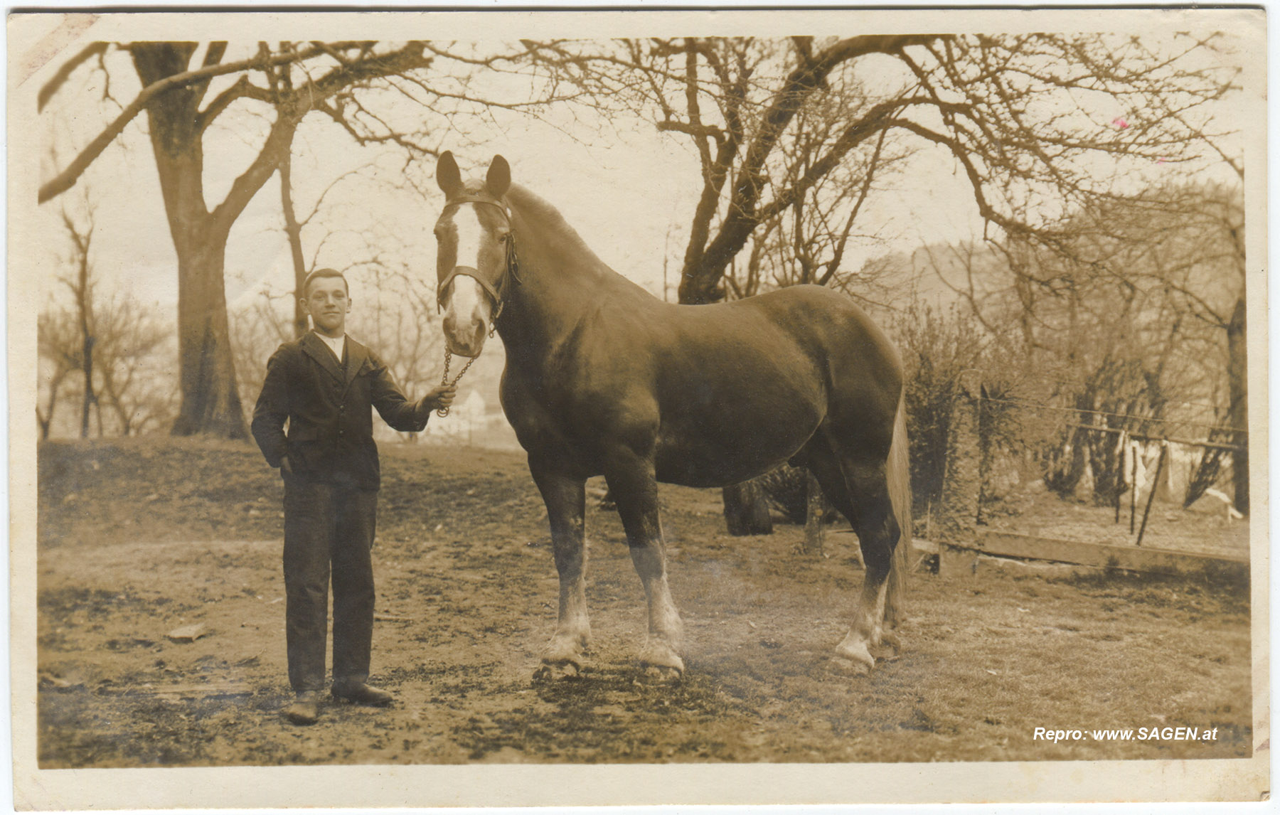 Bauer mit Pferd
