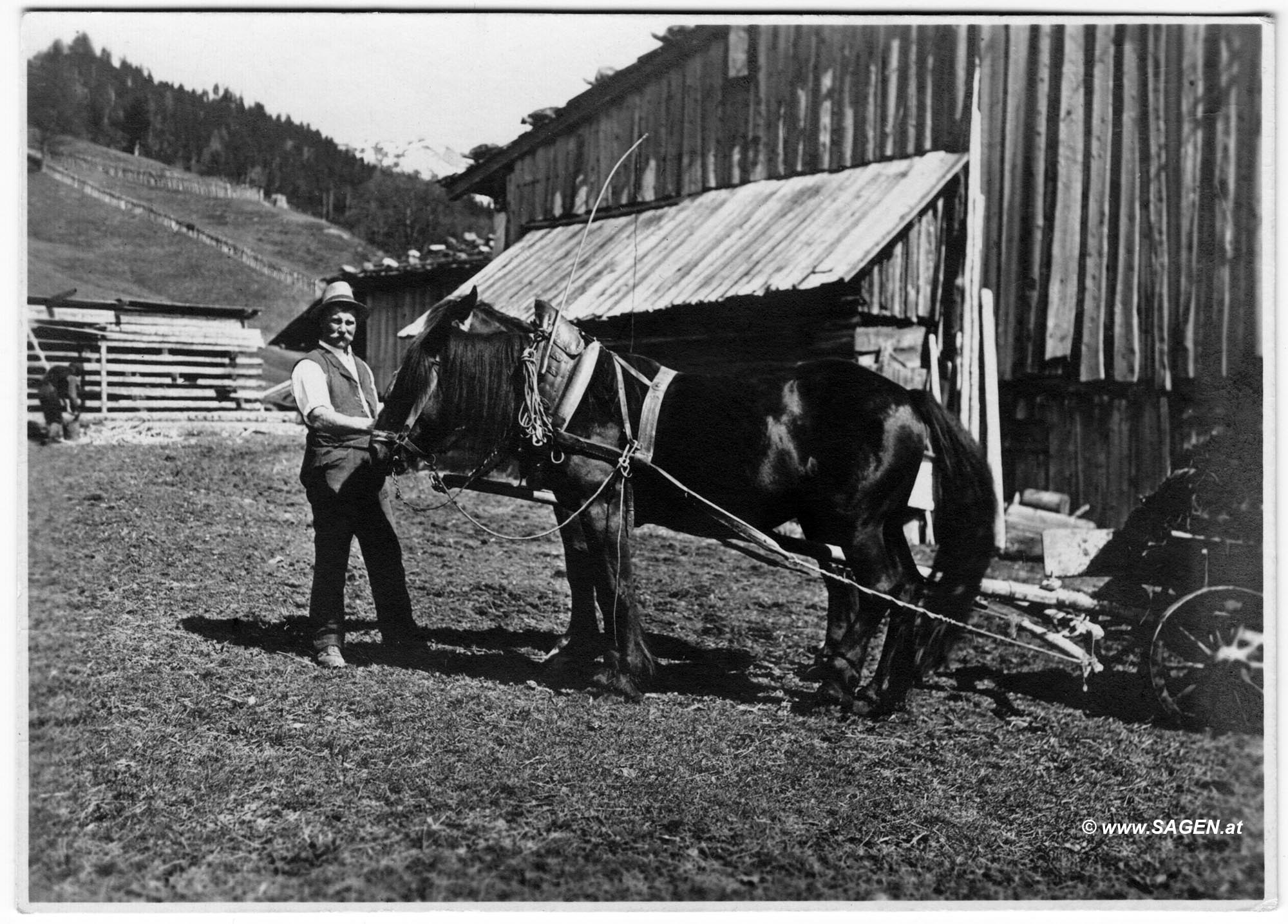 Bauer mit Pferdefuhrwerk