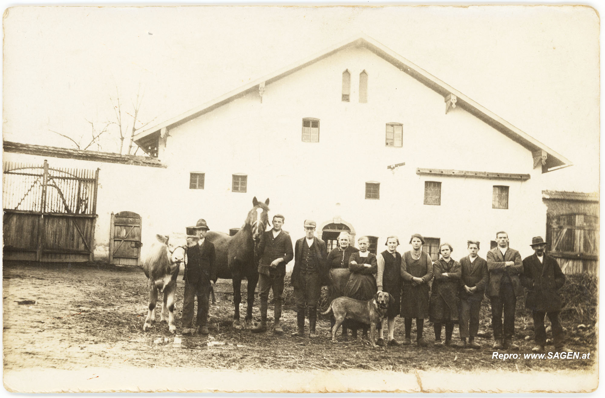Bauernfamilie, Porträt mit Pferd, Kuh und Hund