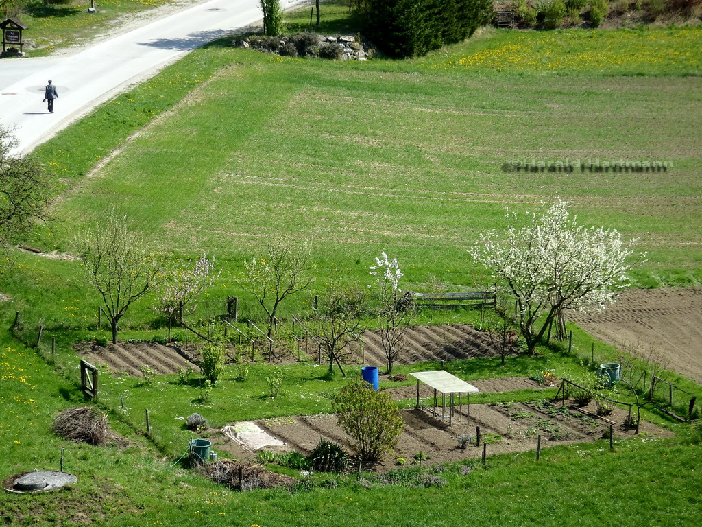 Bauerngarten