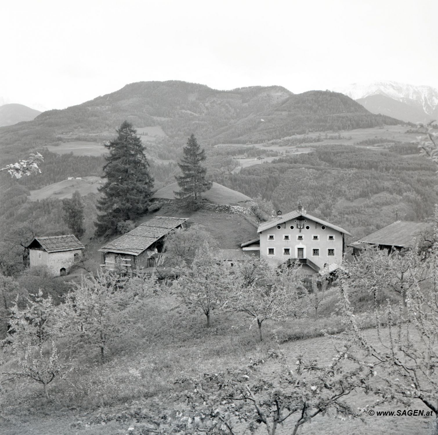 Bauernhaus Pflegerhof Feldthurns