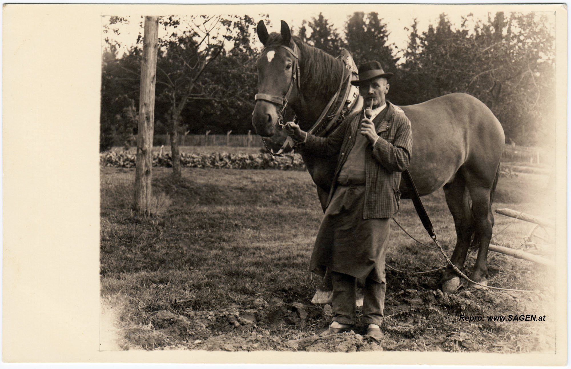 Bauernporträt mit Pferd