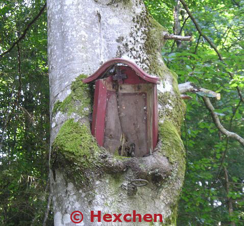 Baum "frisst" Marterl