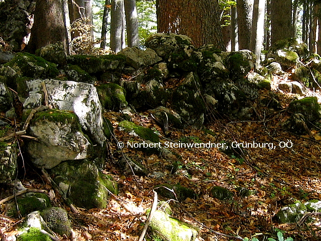 Bergbau oder Hirschbrunft, das ist hier die Frage ...