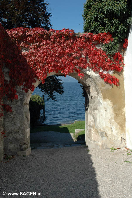 Blick auf den Traunsee