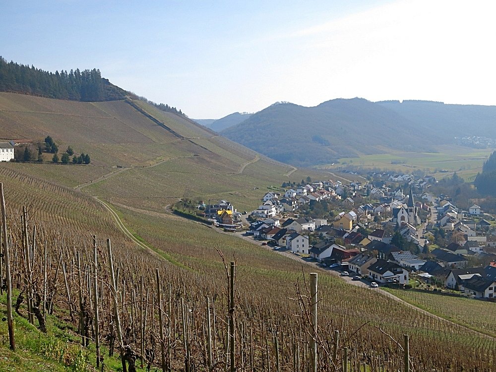 Blick auf Ockfen / Saar