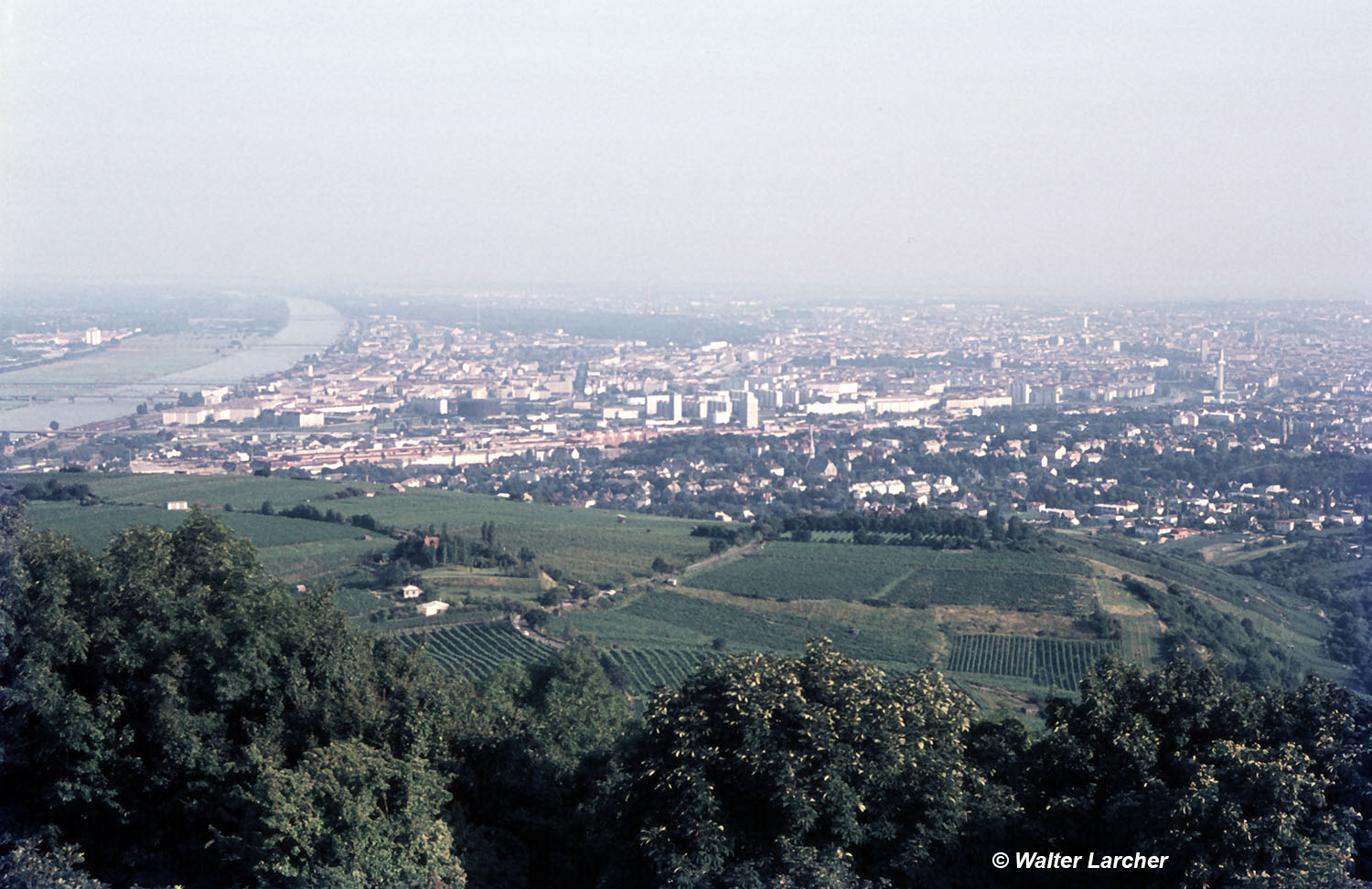 Blick auf Wien vom Cobenzl