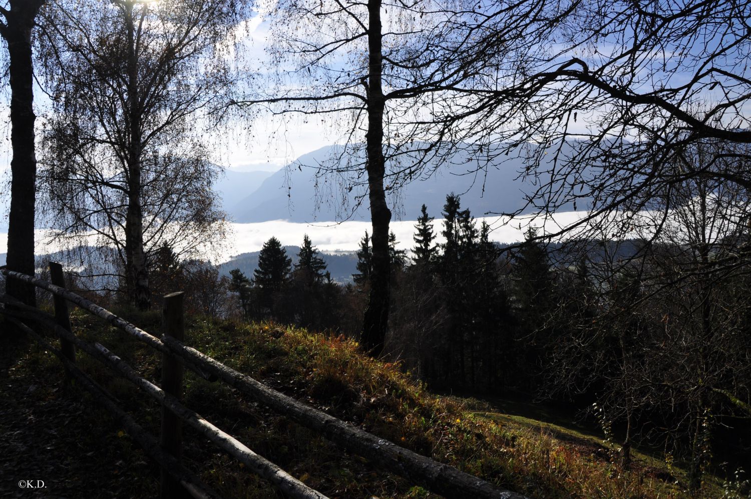Blick vom Plöschenberg auf das Rosental