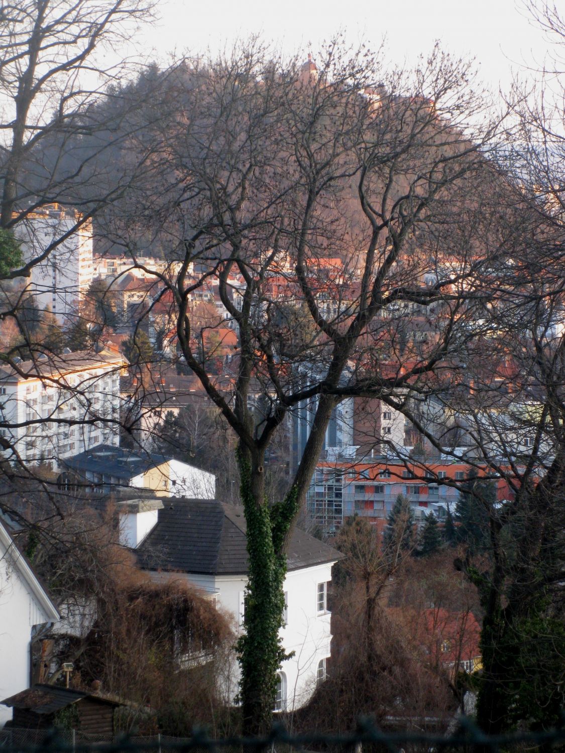 Blick vom Reinerkogel hinüber zum Grazer Schloßberg