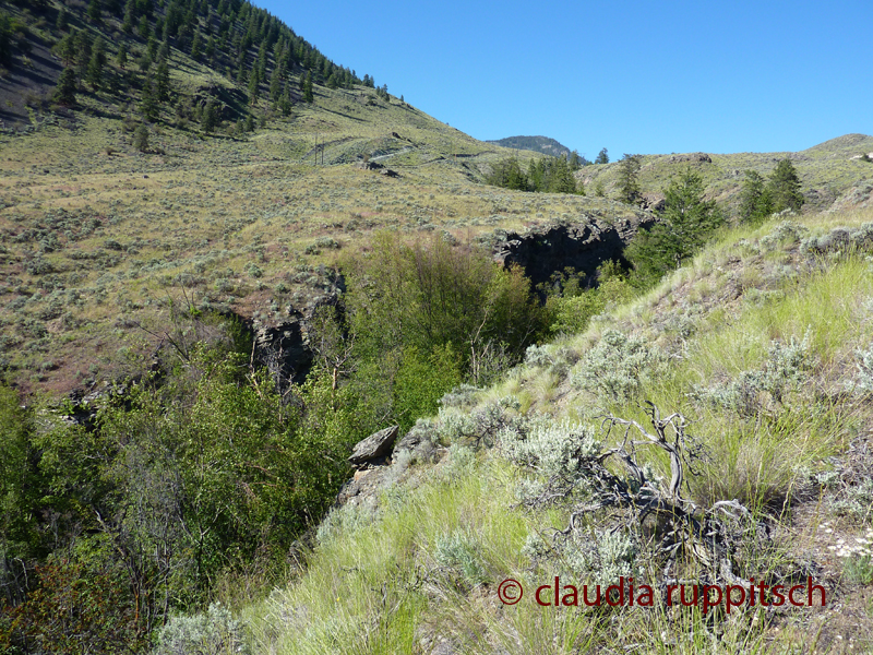 Blind Creek Canyon  (BC, Canada)