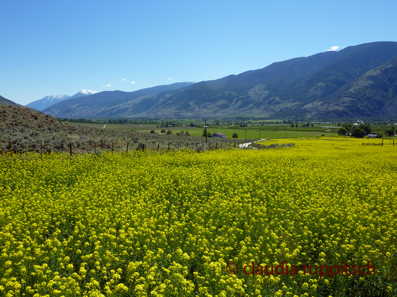 Blind Creek Indian Reserve (BC, Canada)