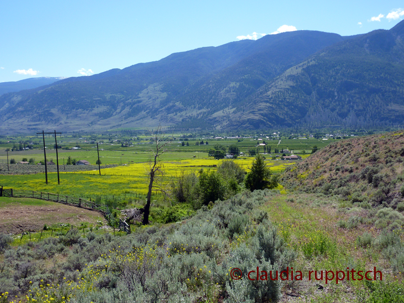 Blind Creek Indian Reserve (BC, Canada)