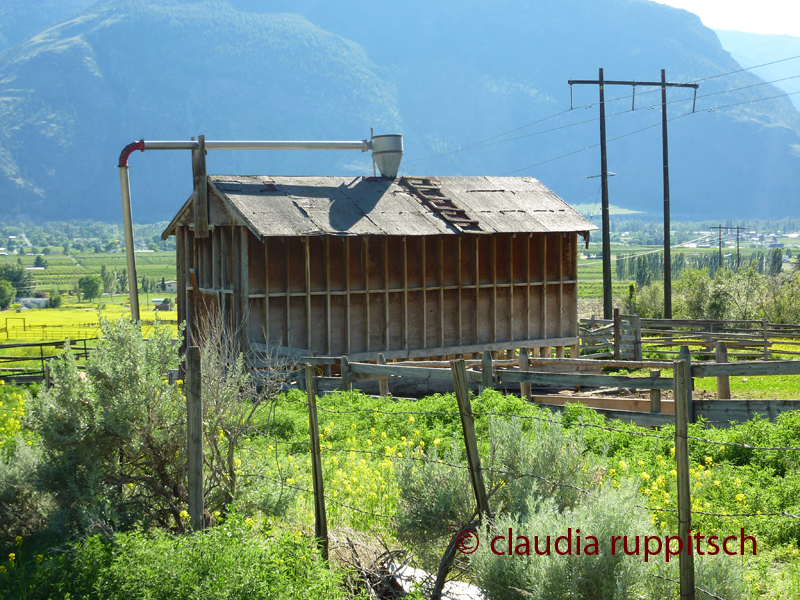 Blind Creek Indian Reserve (BC, Canada)