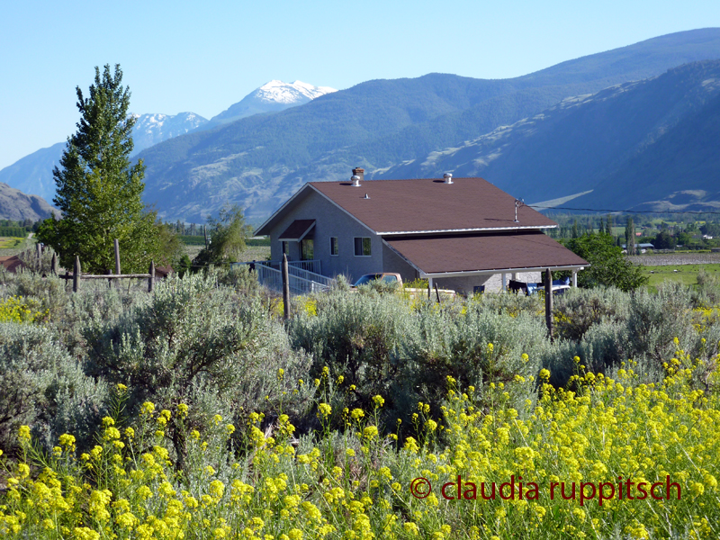 Blind Creek Indian Reserve (BC, Canada)