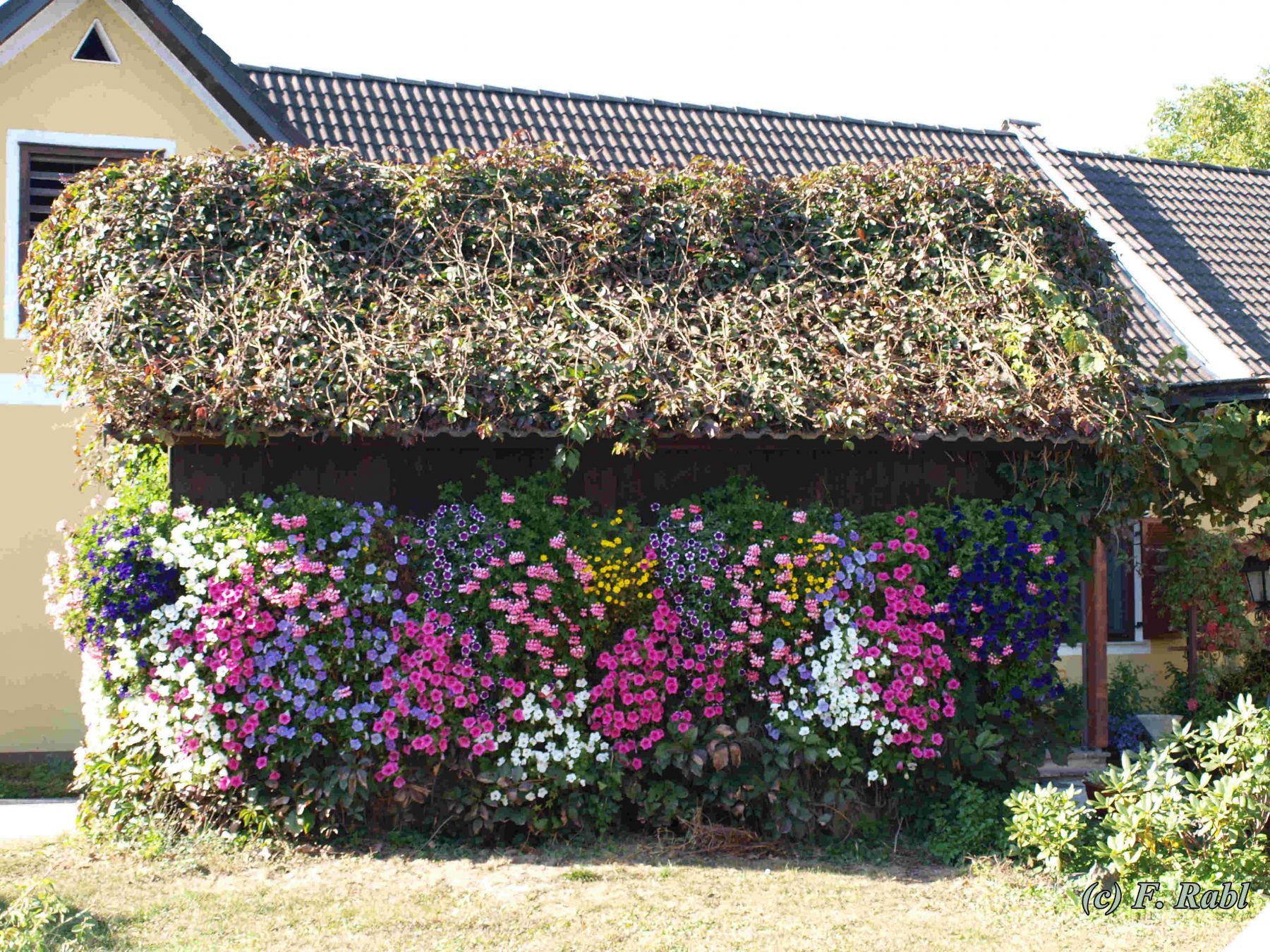 Blumensilo