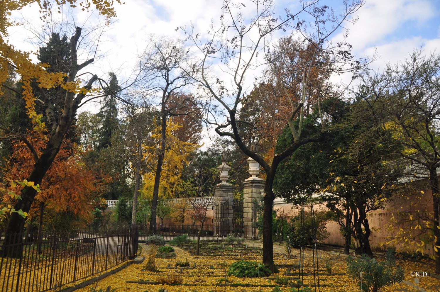 Botanischer Garten in Padua (It)