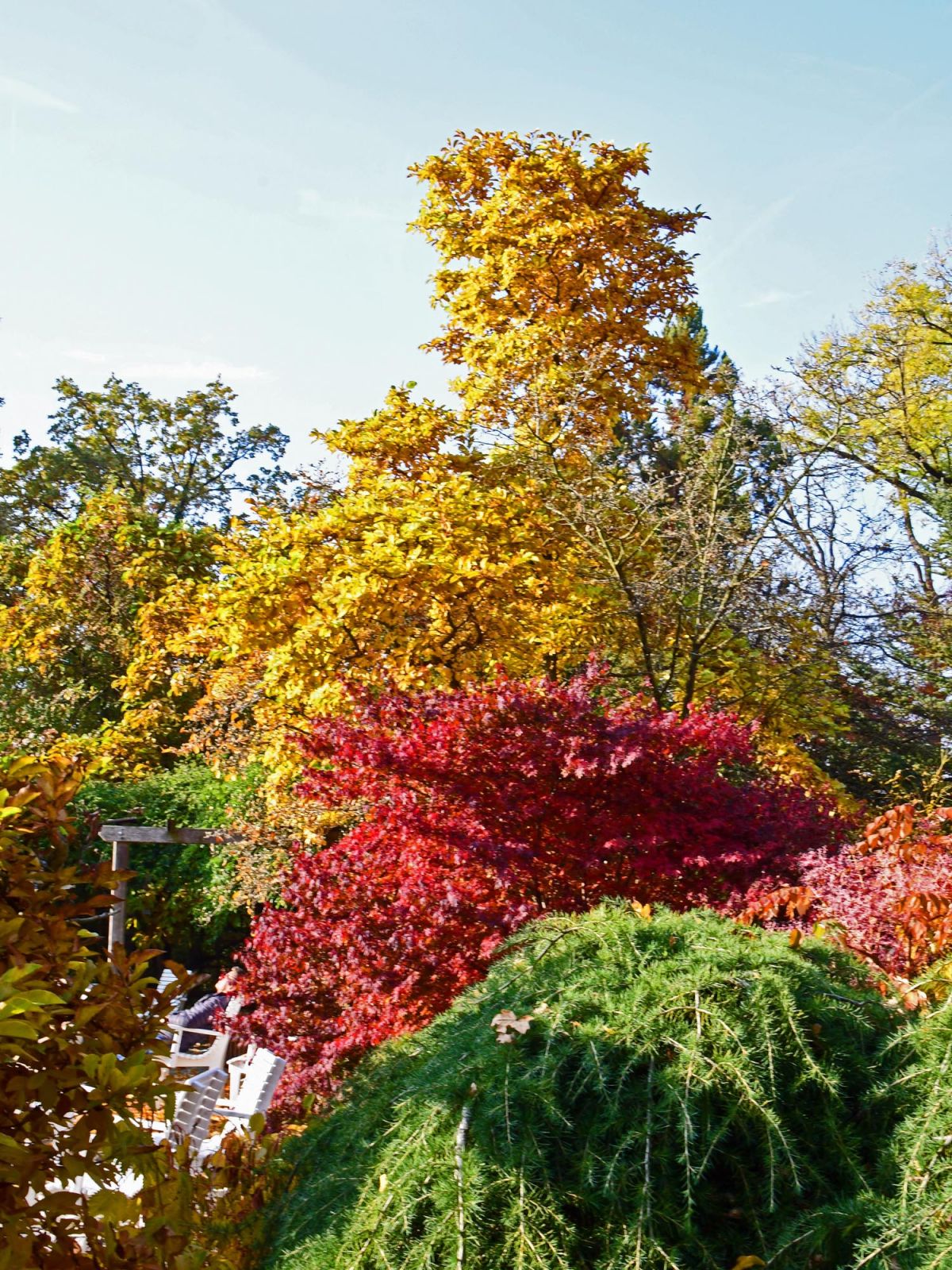 botanischer Garten