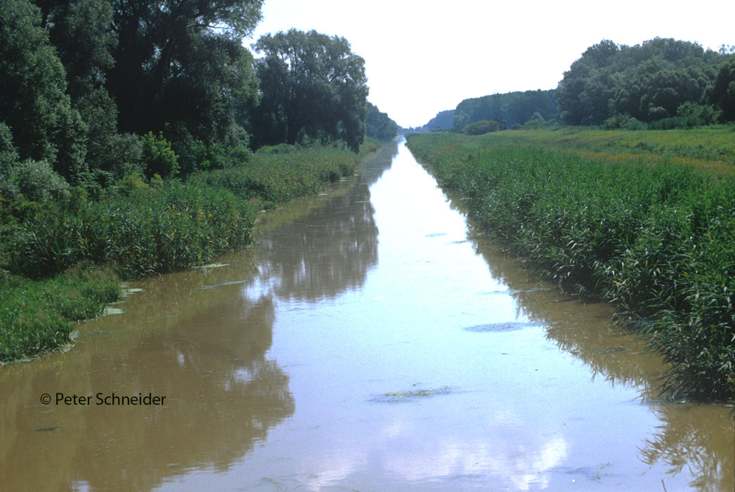 Brücke von Andau