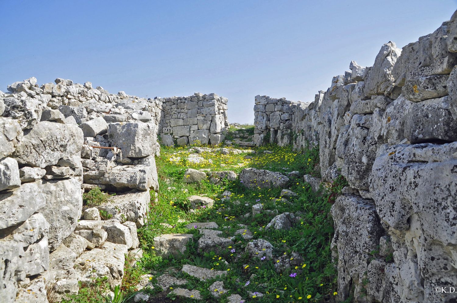 Bronzezeitliche Siedlung Monkodonja (Istrien)