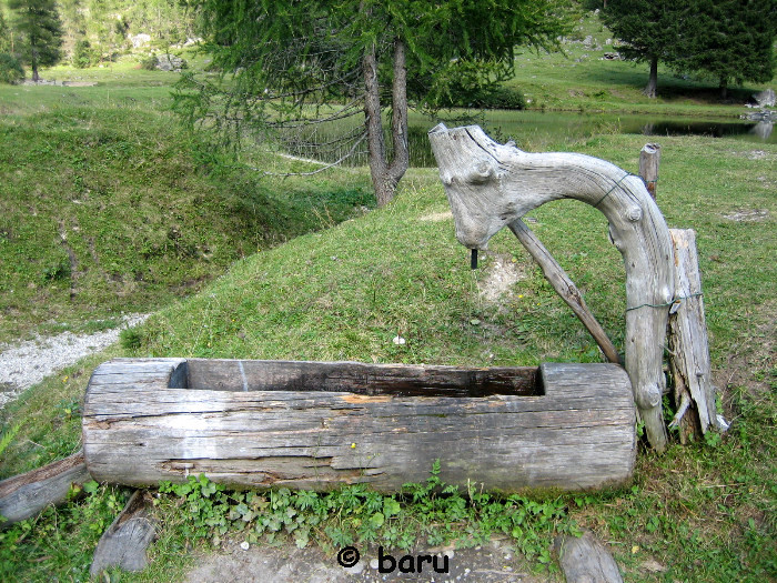 Brunnen auf einer Rossalm