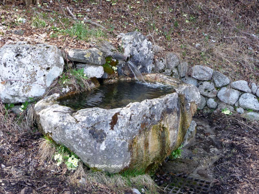 Brunnen Ledrosee