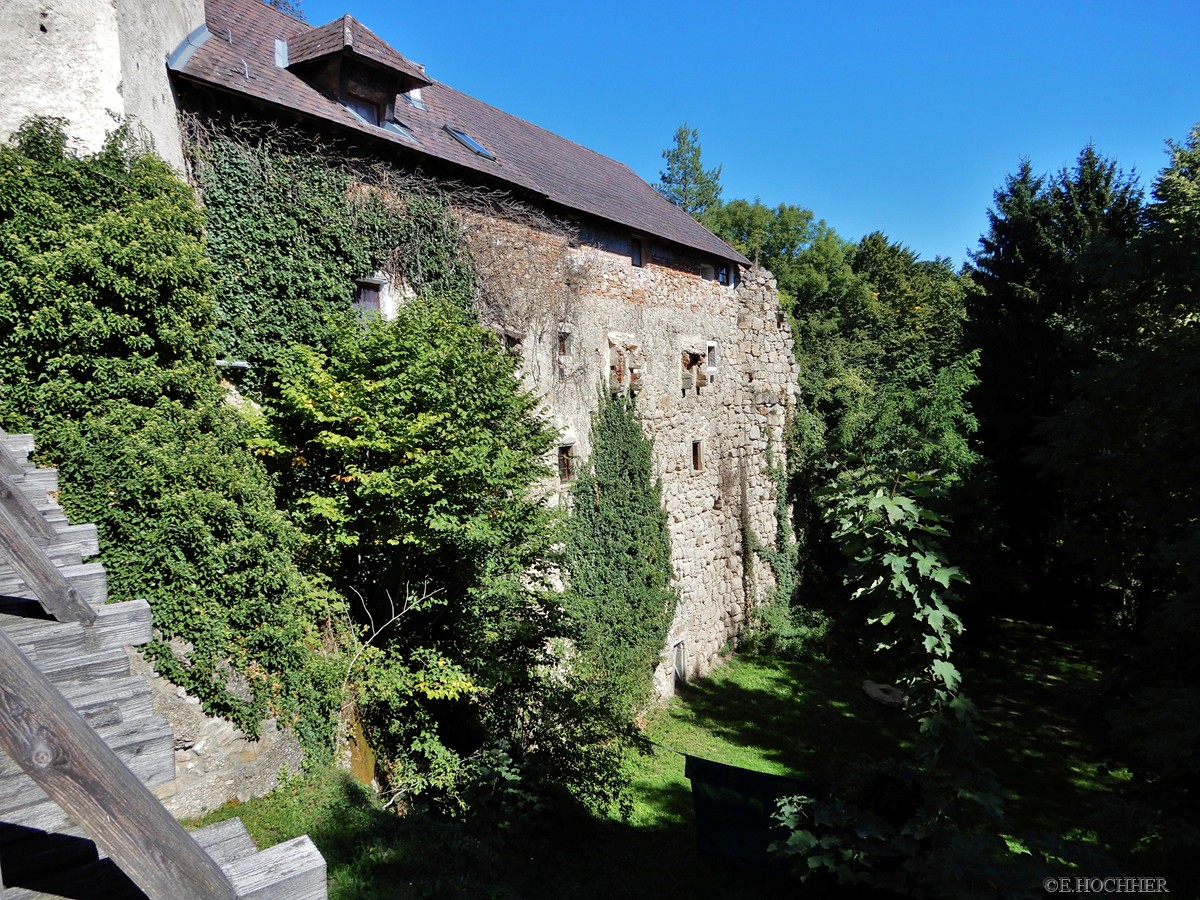 Burg Kreuzen - Burggraben