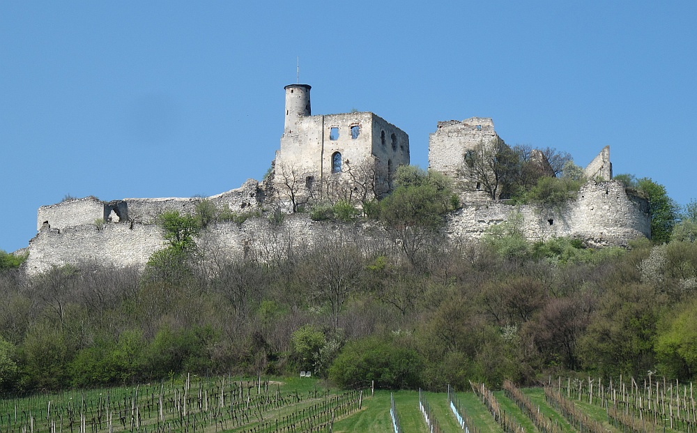 Burgruine Falkenstein