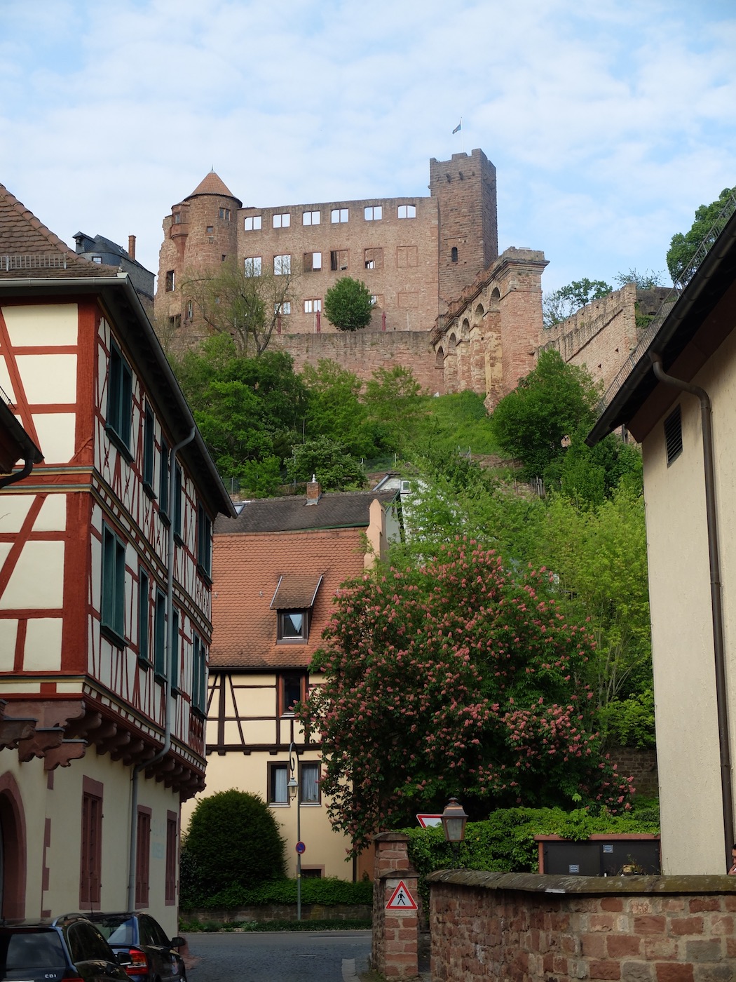 Burgruine Wertheim/Main