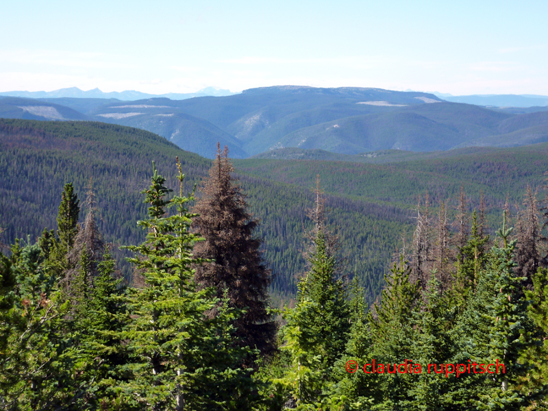 Cathedral Provincial Park, BC, Kanada