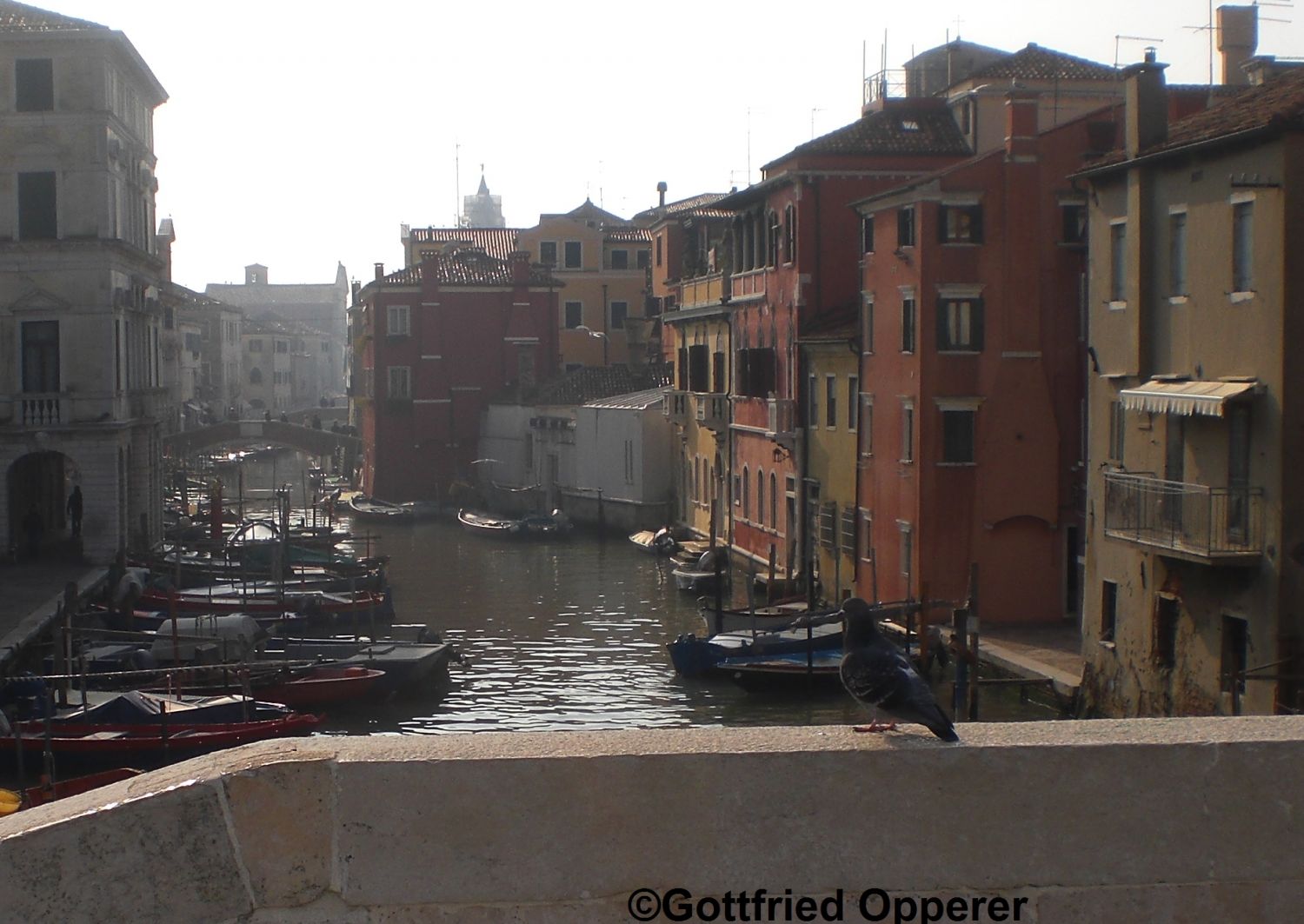 Chioggia