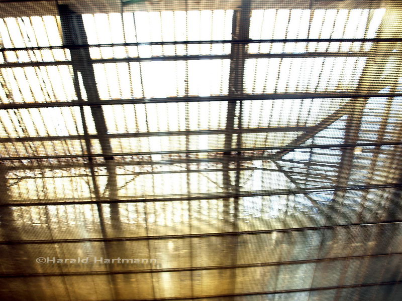 Dachfenster im Südbahnhof