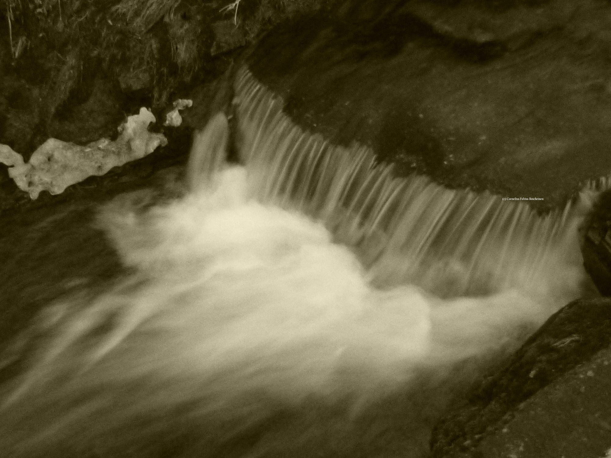 Das rauschende Wasser der Thyra.
