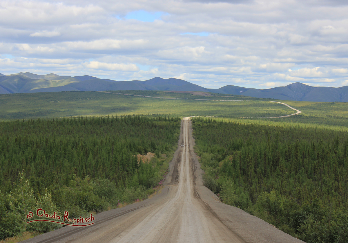 Dempster Highway, Yukon Territory, Canada