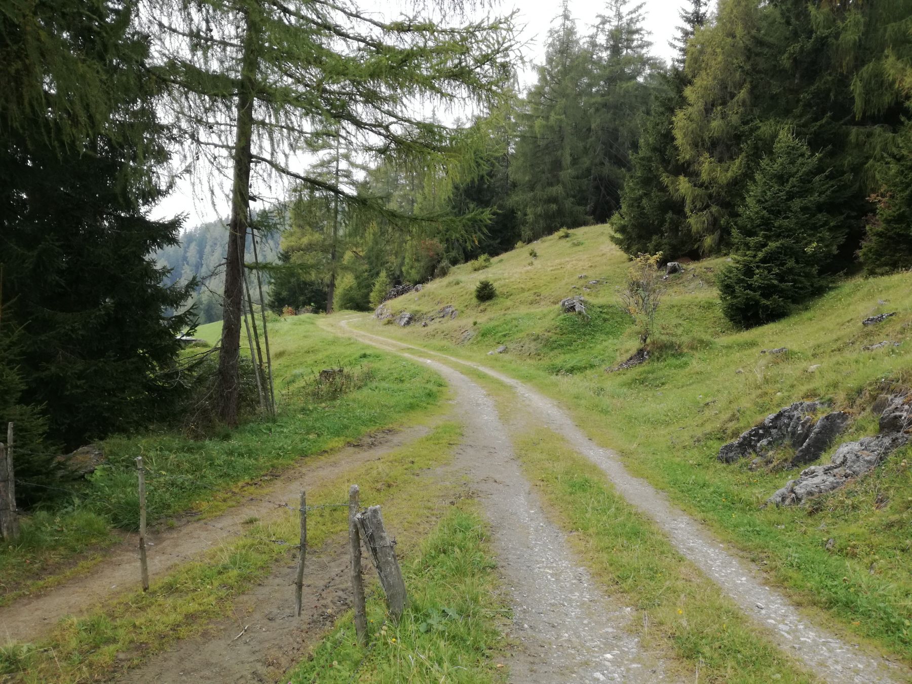 Der Kinstenwald bei Oberwölz