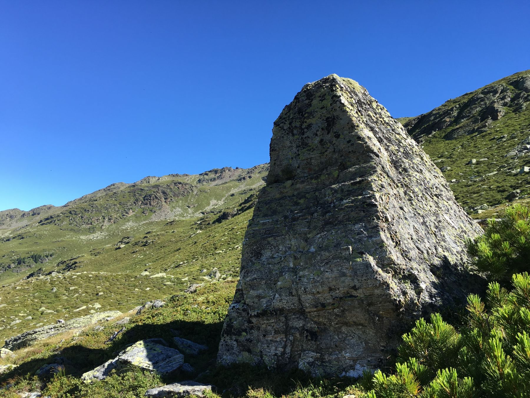 Der Menhir im Viggartal