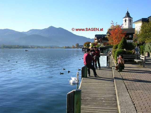 Der Wolfgangsee