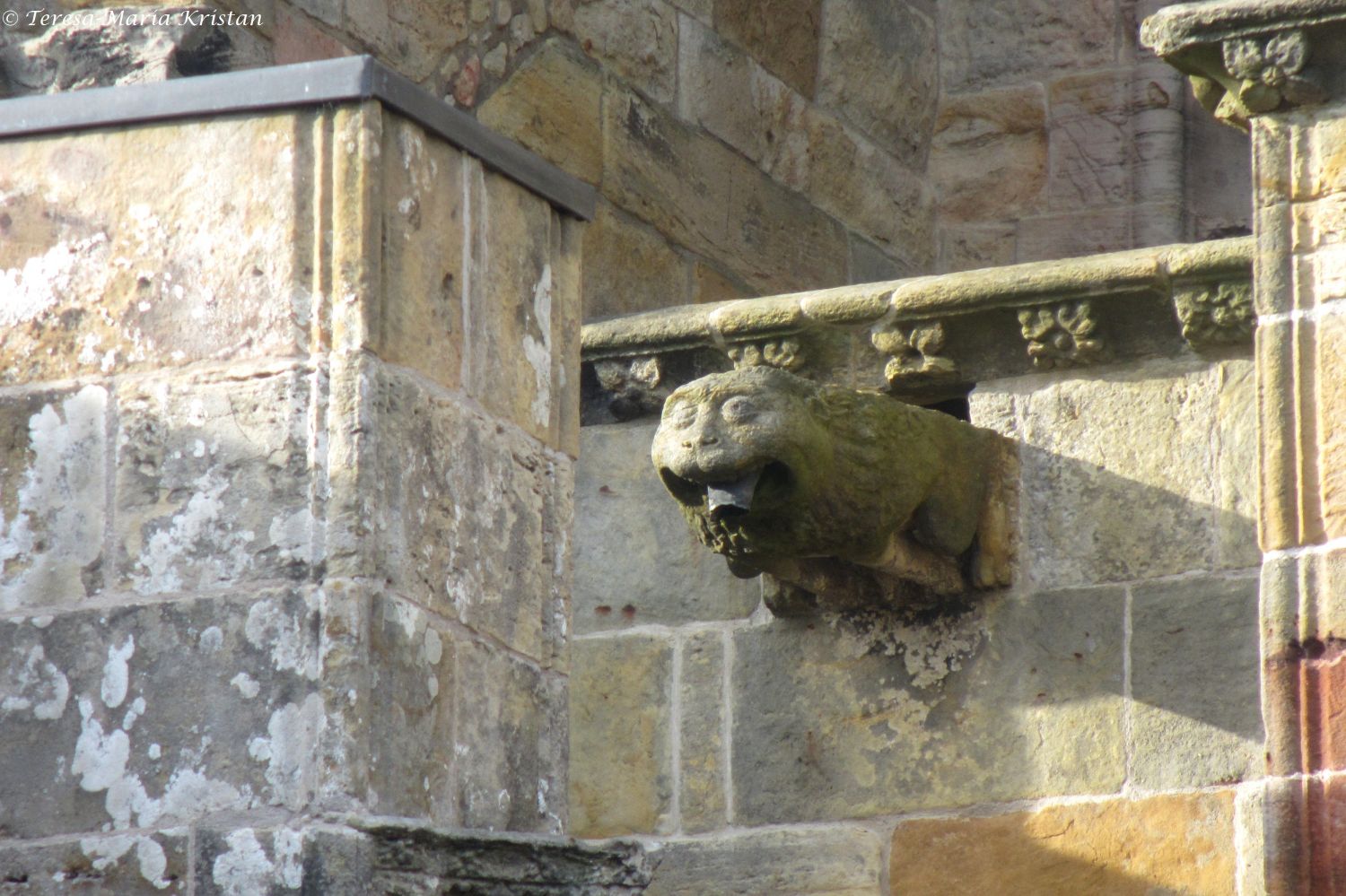 Detail, Rosslyn Chapel, Schottland