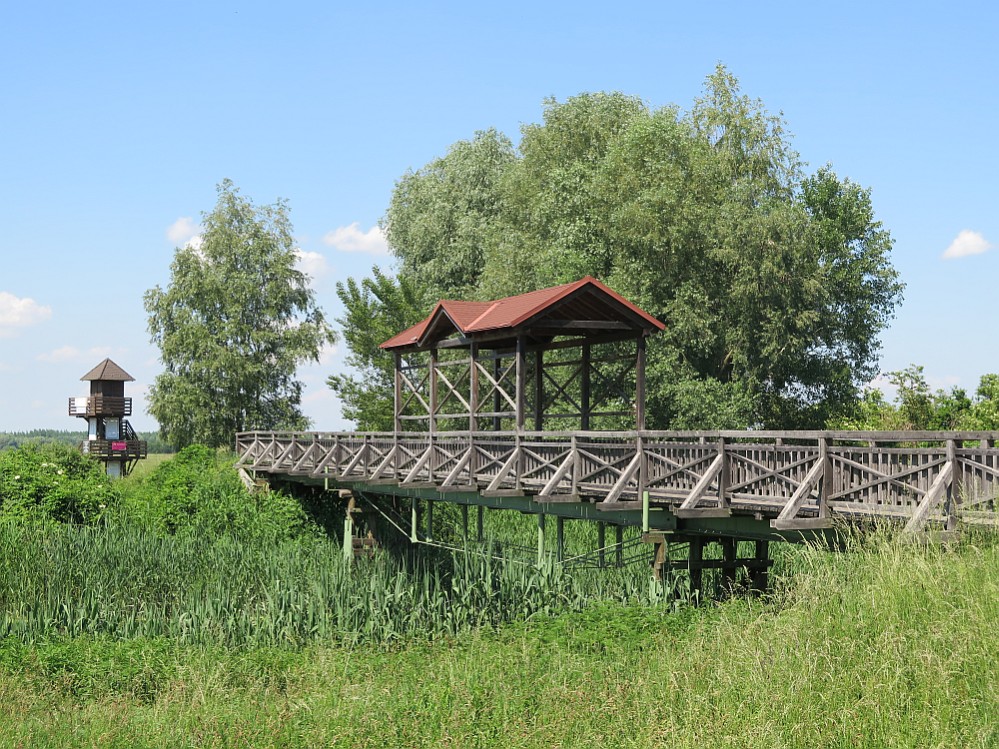 Die Brücke von Andau