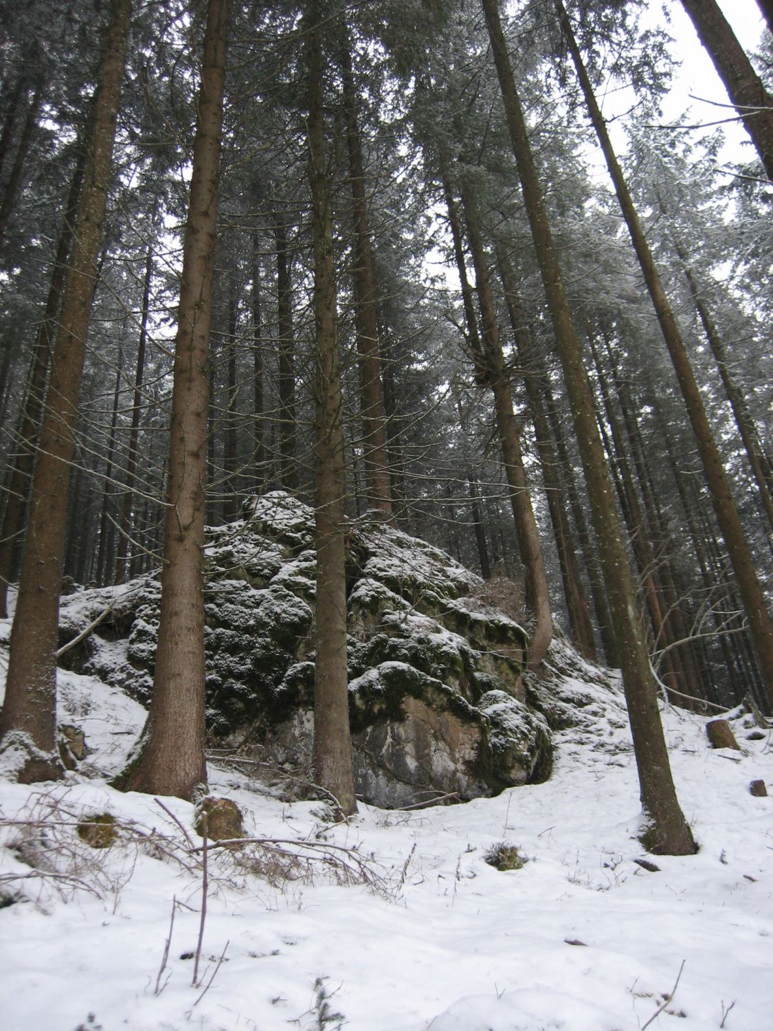 Die Landschaft