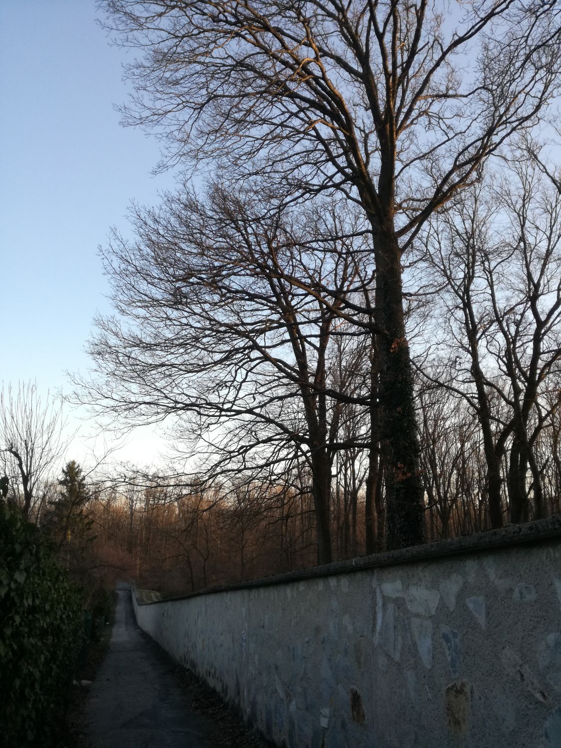 Die Mauer um den Lainzer Tiergarten