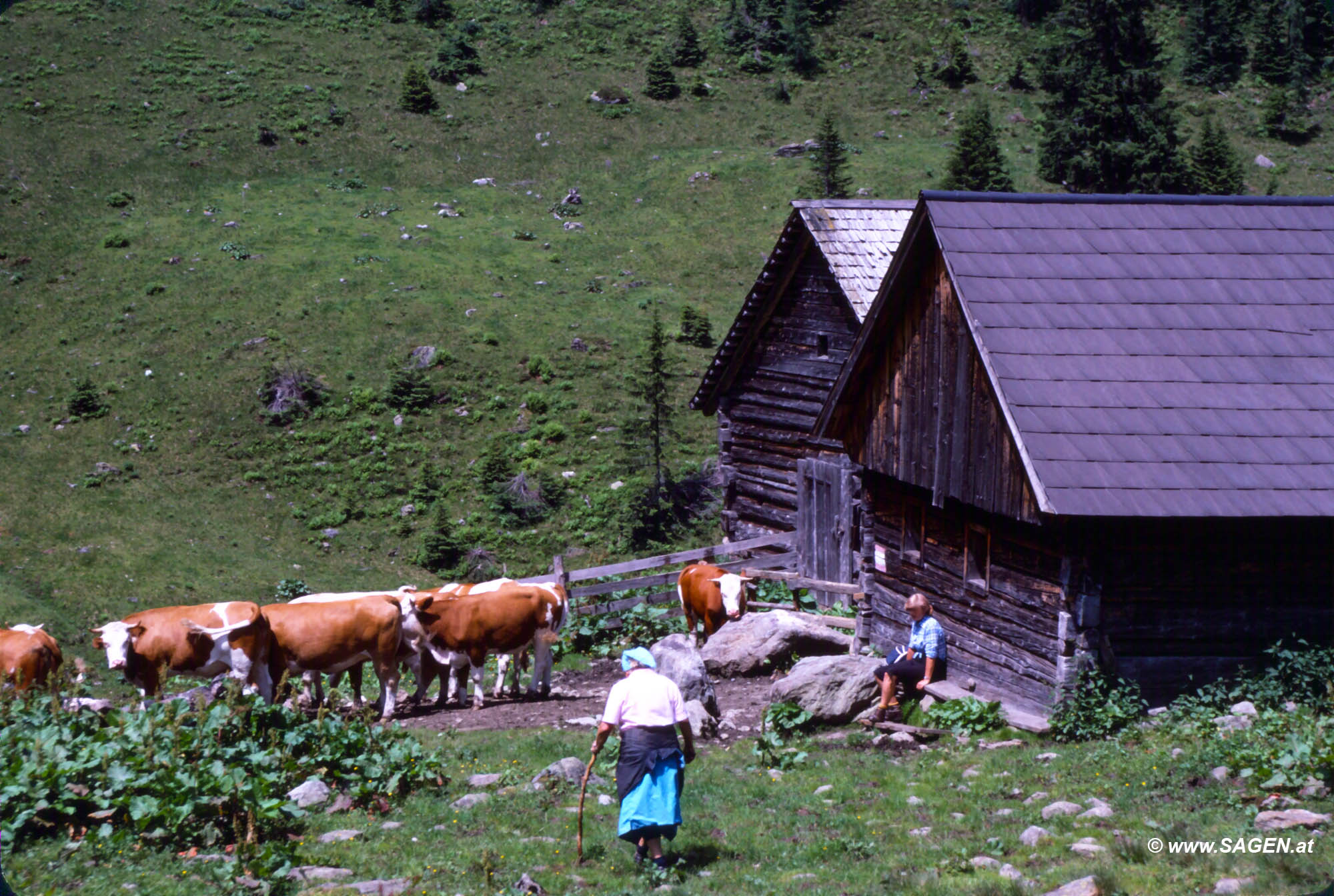 Donnersbachwald Finsterkaralm