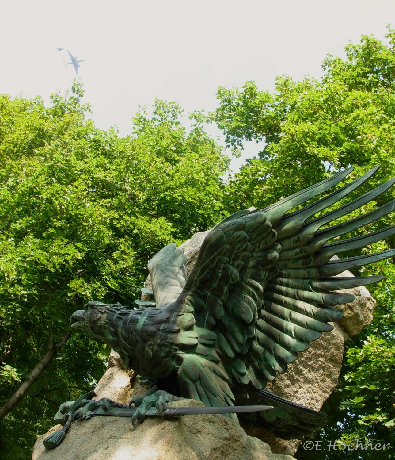 Drei Vögel