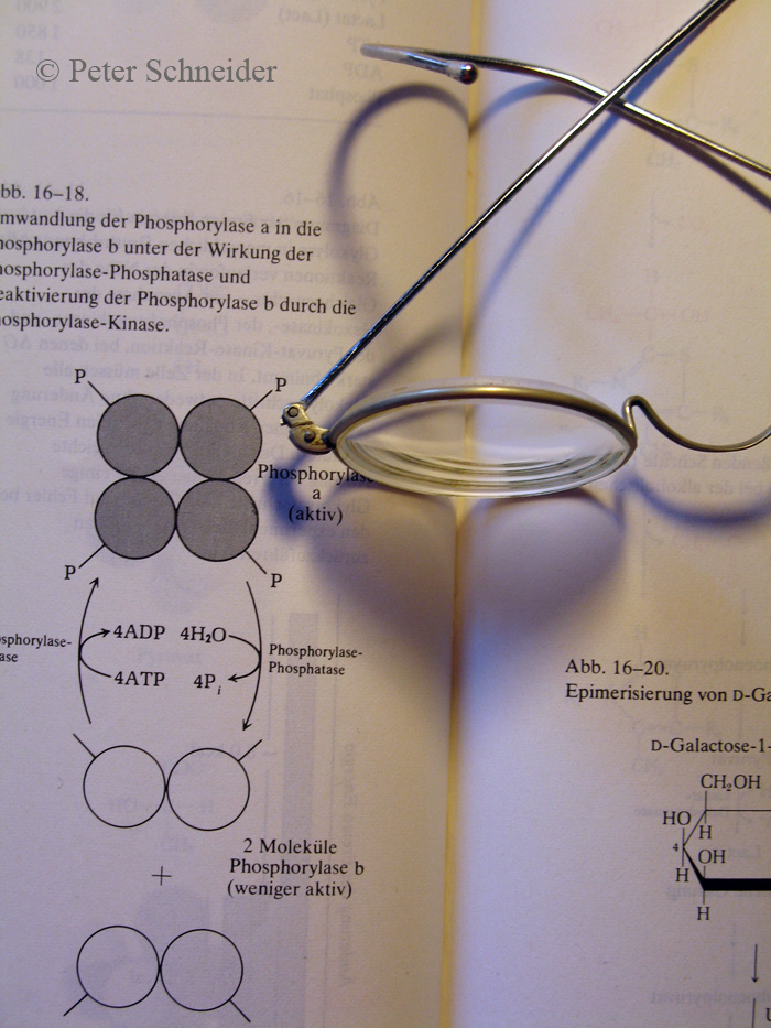 Ein Herz für die Biochemie