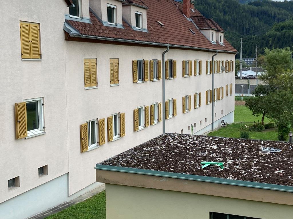 Ein verloren gegangener Flieger in der Hochschwab-Siedlung