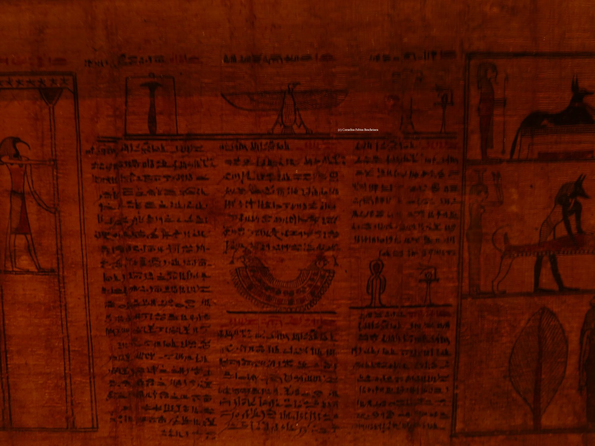 Einblicke in das Totentuch im ägyptischen Museum zu München.