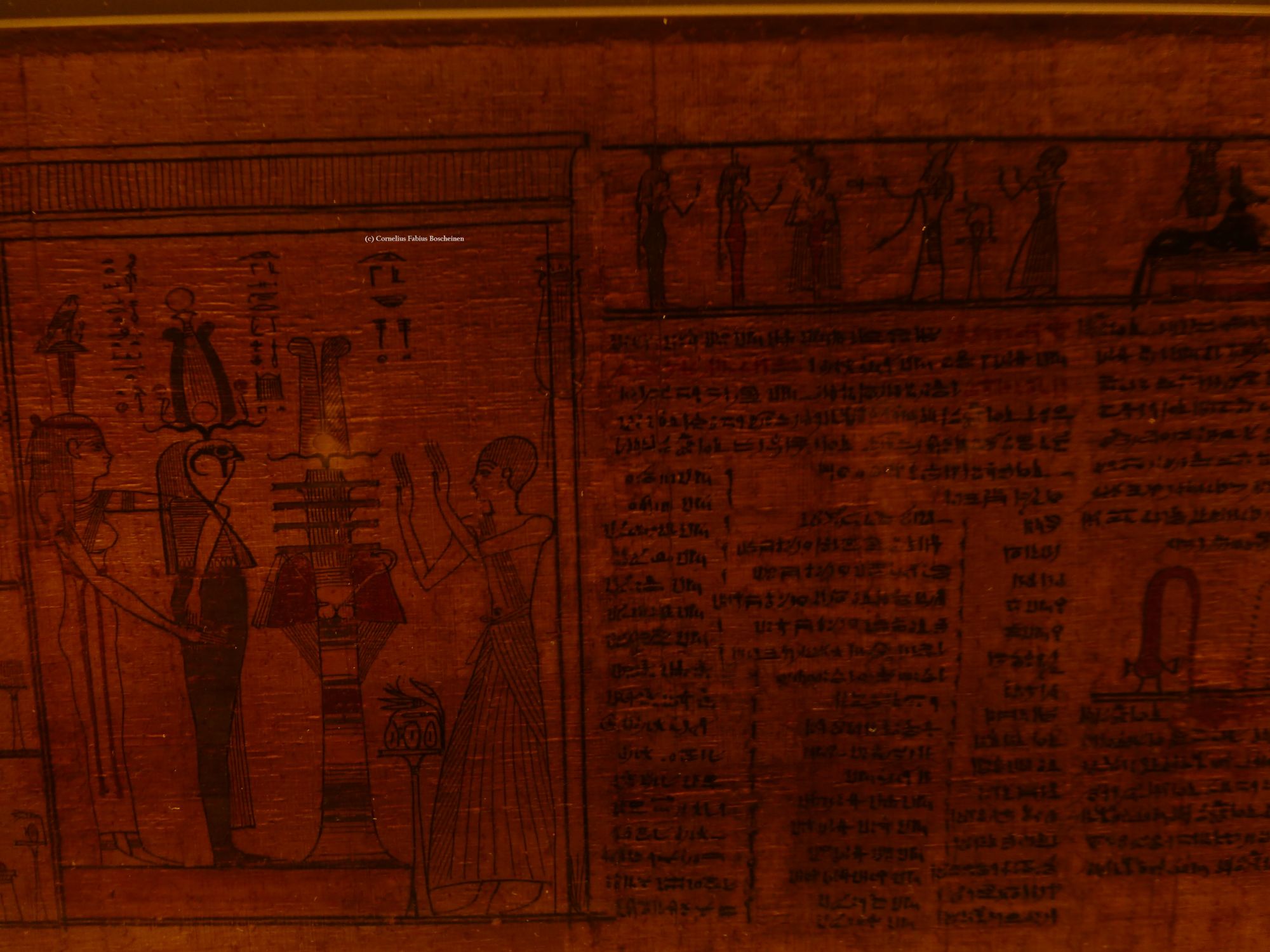 Einblicke in das Totentuch im ägyptischen Museum zu München.