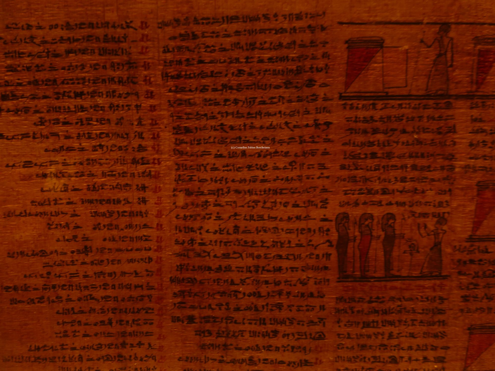 Einblicke in das Totentuch im ägyptischen Museum zu München.