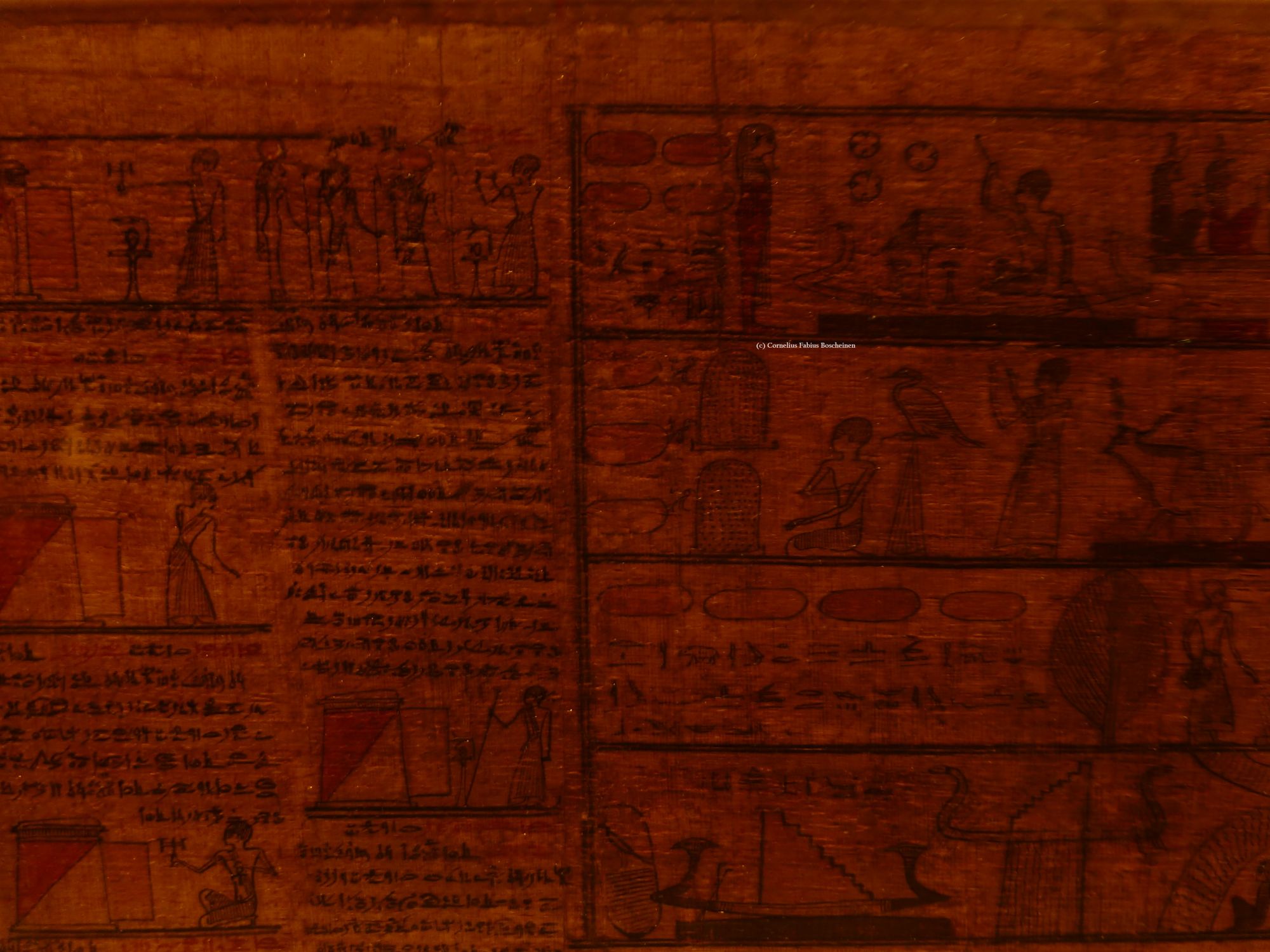 Einblicke in das Totentuch im ägyptischen Museum zu München.