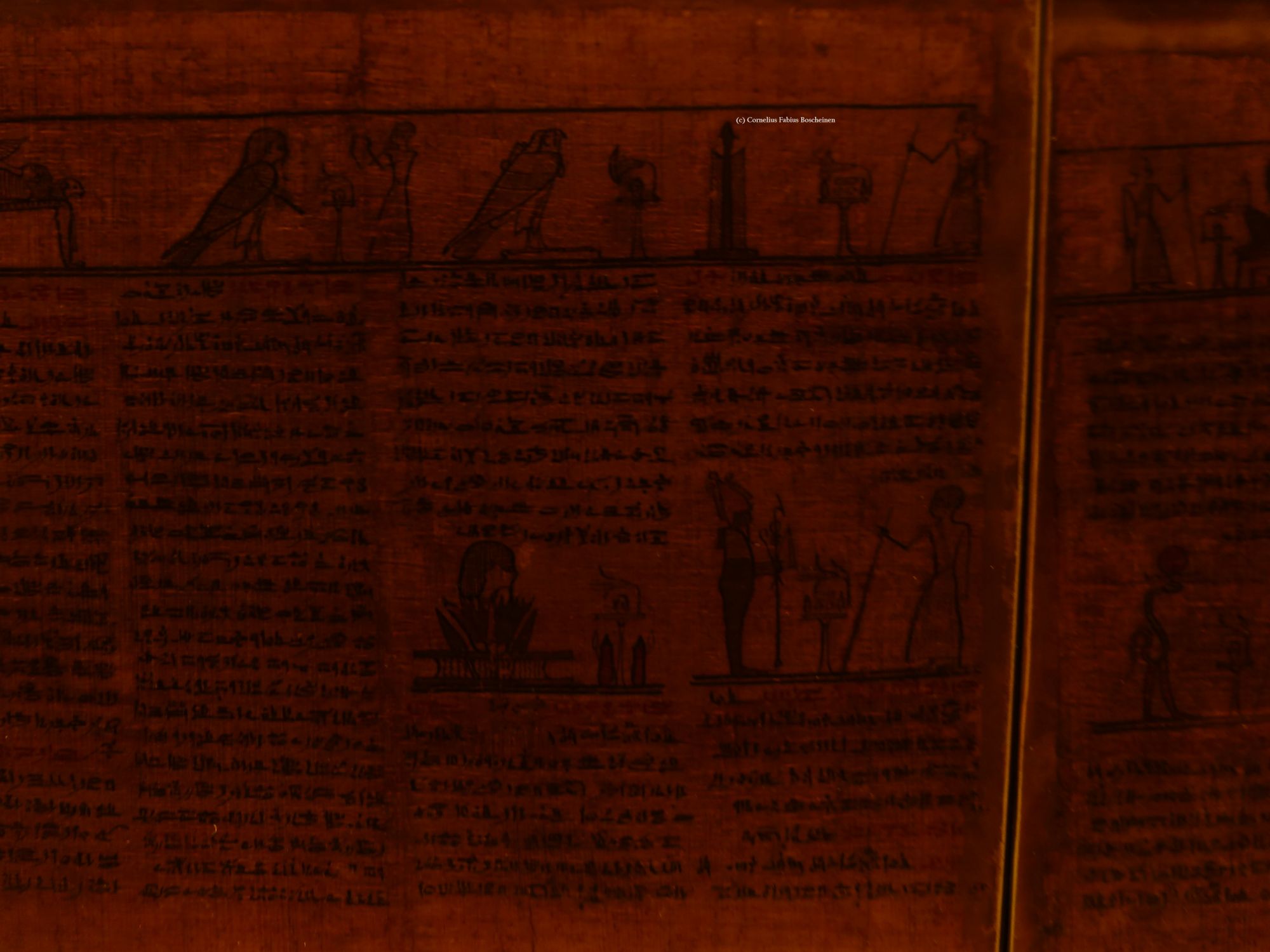 Einblicke in das Totentuch im ägyptischen Museum zu München.