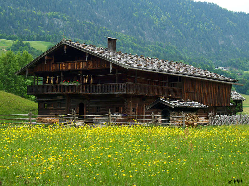Einhof Gwiggen